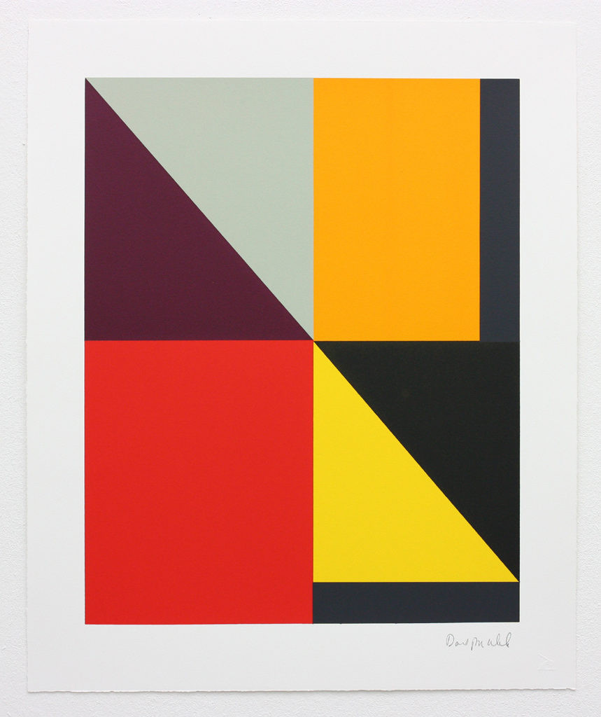 David Webb Untitled (Beak) II 2015 Screenprint on Somerset Velvet 300gsm paper (monotype) 63x51.5cm